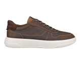 Kleur Beige / Bruin