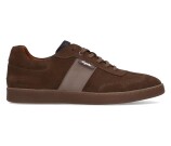 Kleur Beige / Bruin