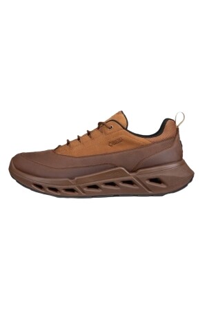 ECCO Biom 720 M Goretex cocoa brown 