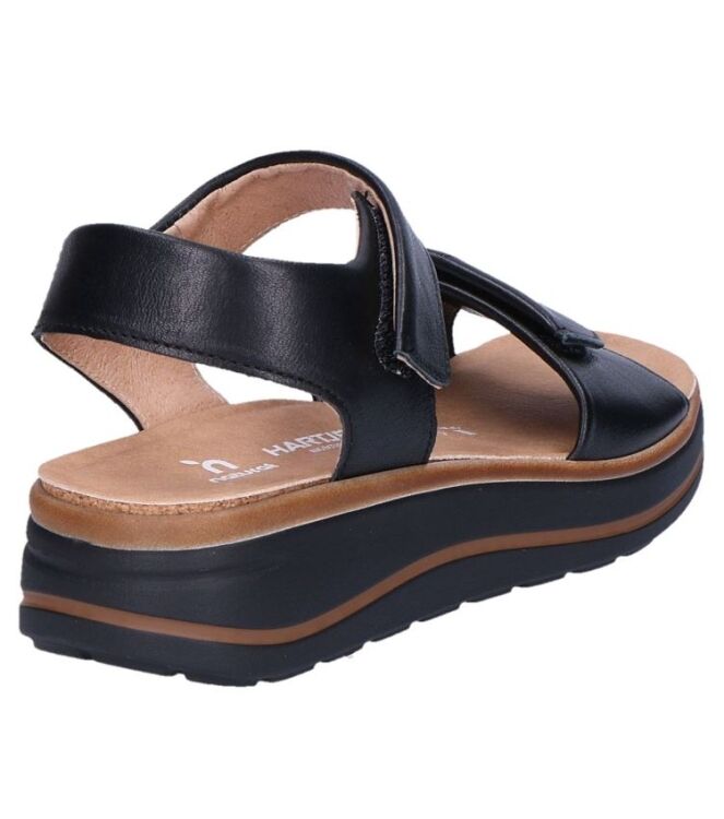 Hartjes Woogie schwarz  Hartjes 132.2002/10 01.00, sandalen Direct leverbaar uit de webshop