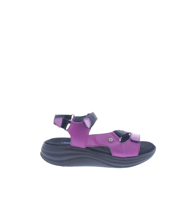Wolky Cirro bouganville  Wolky 0565030-660, sandalen Direct leverbaar uit de webshop