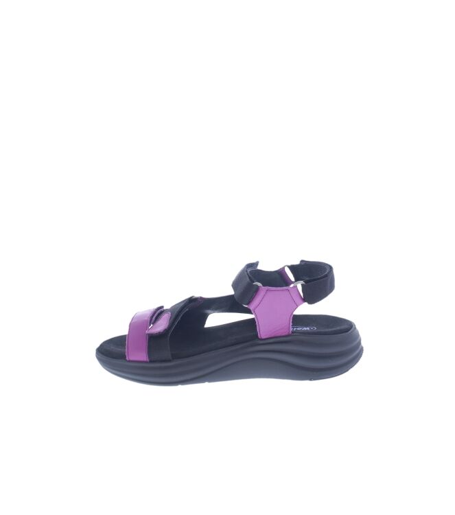 Wolky Cirro bouganville  Wolky 0565030-660, sandalen Direct leverbaar uit de webshop