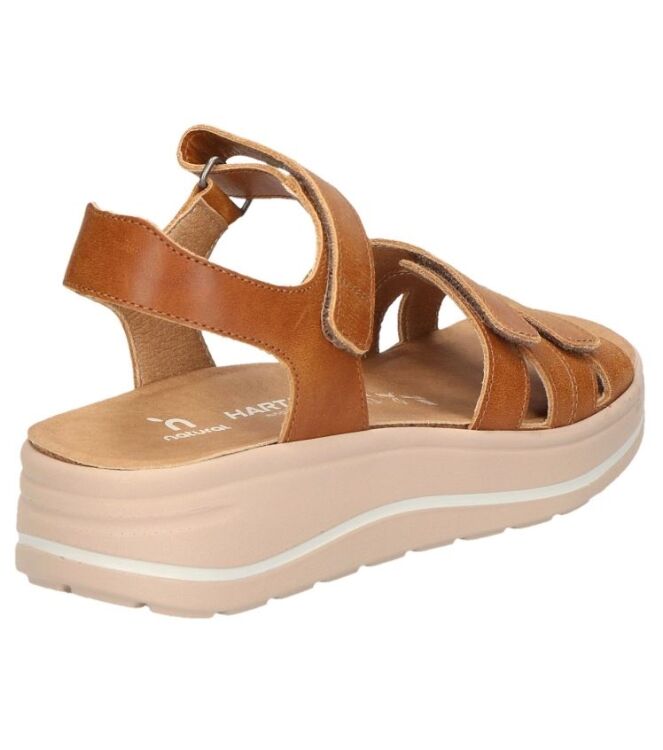 Hartjes Woogie/cognac cognac  Hartjes 132.2004/10 53.00, sandalen Direct leverbaar uit de webshop