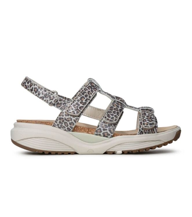 Xsensible Stretchwalker Samos leopard  Xsensible Stretchwalker 30321.5.625, sandalen Direct leverbaar uit de webshop
