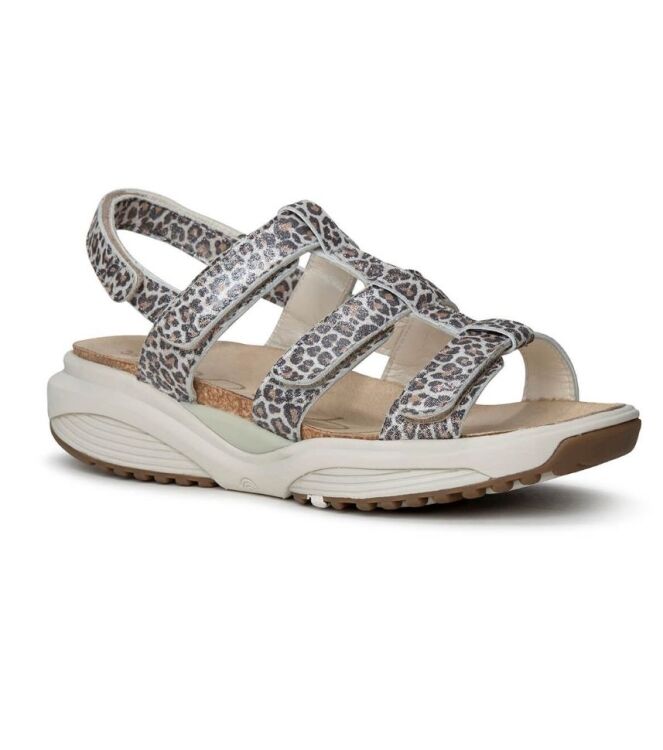 Xsensible Stretchwalker Samos leopard  Xsensible Stretchwalker 30321.5.625, sandalen Direct leverbaar uit de webshop