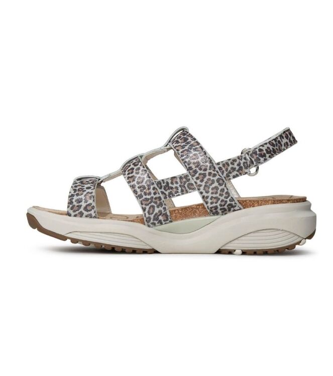 Xsensible Stretchwalker Samos leopard  Xsensible Stretchwalker 30321.5.625, sandalen Direct leverbaar uit de webshop