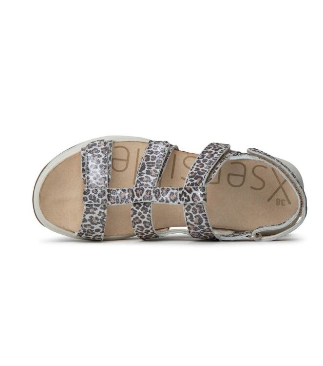 Xsensible Stretchwalker Samos leopard  Xsensible Stretchwalker 30321.5.625, sandalen Direct leverbaar uit de webshop
