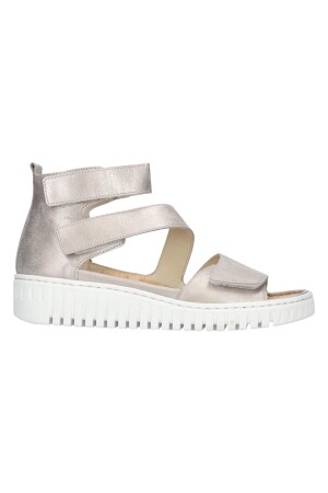 Waldlaufer Willow stein  Waldlaufer Willow stein