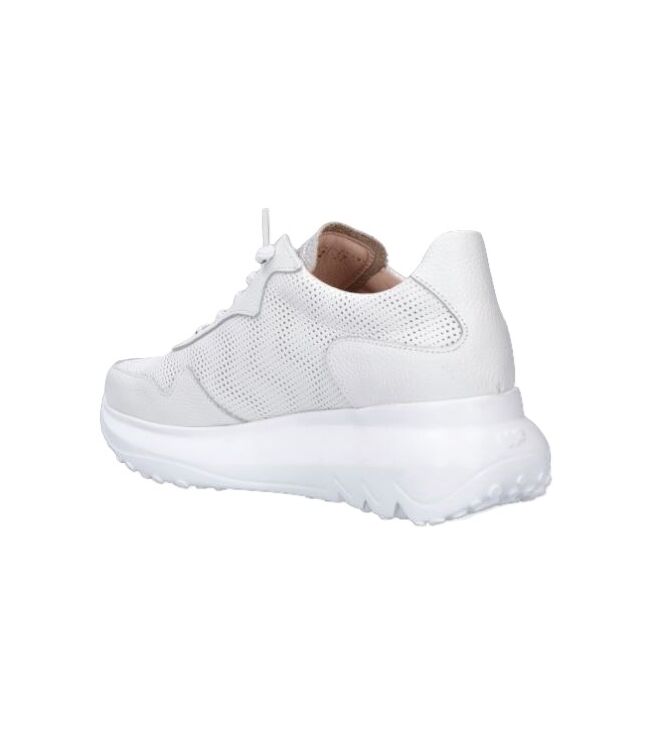 Wonders A-4021 off/plata Wonders A-4021, sneakers / veterschoenen Direct leverbaar uit de webshop