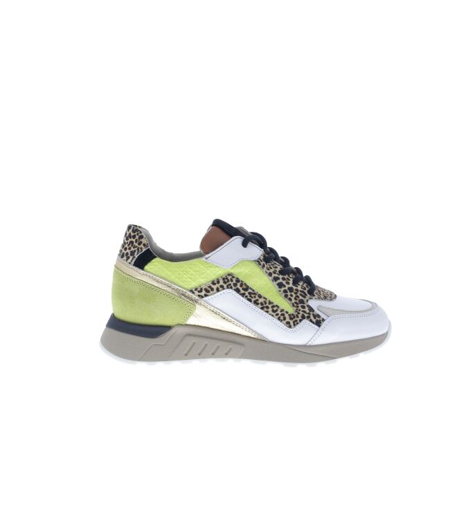 Piedi Nudi Selva lime leo  Piedi Nudi 2507-17.11PN, sneakers / veterschoenen Direct leverbaar uit de webshop