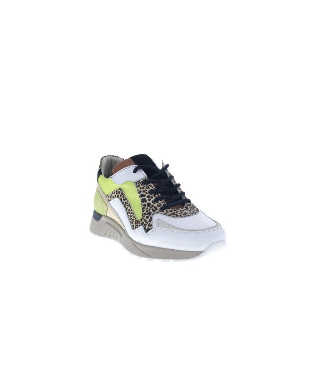 Piedi Nudi Selva lime leo  Piedi Nudi 2507-17.11PN, sneakers / veterschoenen Direct leverbaar uit de webshop
