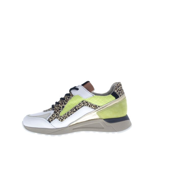 Piedi Nudi Selva lime leo  Piedi Nudi 2507-17.11PN, sneakers / veterschoenen Direct leverbaar uit de webshop