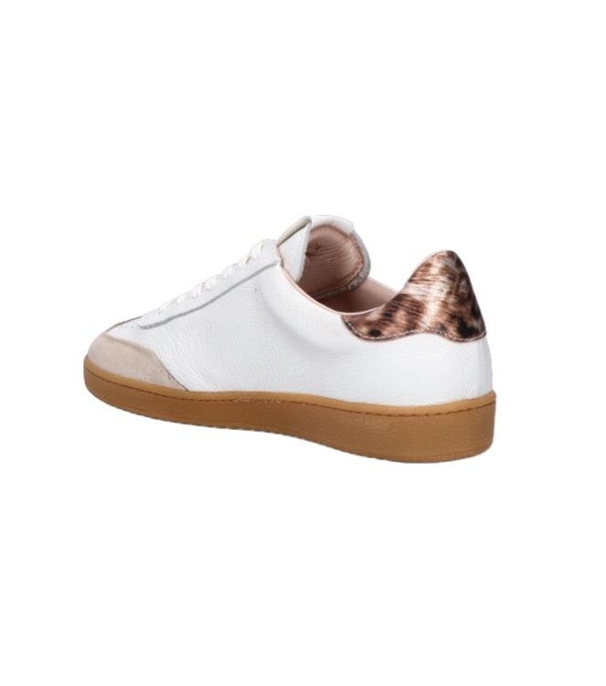 Wonders AP-2001 beig/off Wonders AP-2001, sneakers / veterschoenen Direct leverbaar uit de webshop