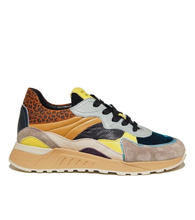 Piedi Nudi Nova multi funky  Piedi Nudi 2507-11.21, sneakers / veterschoenen Direct leverbaar uit de webshop