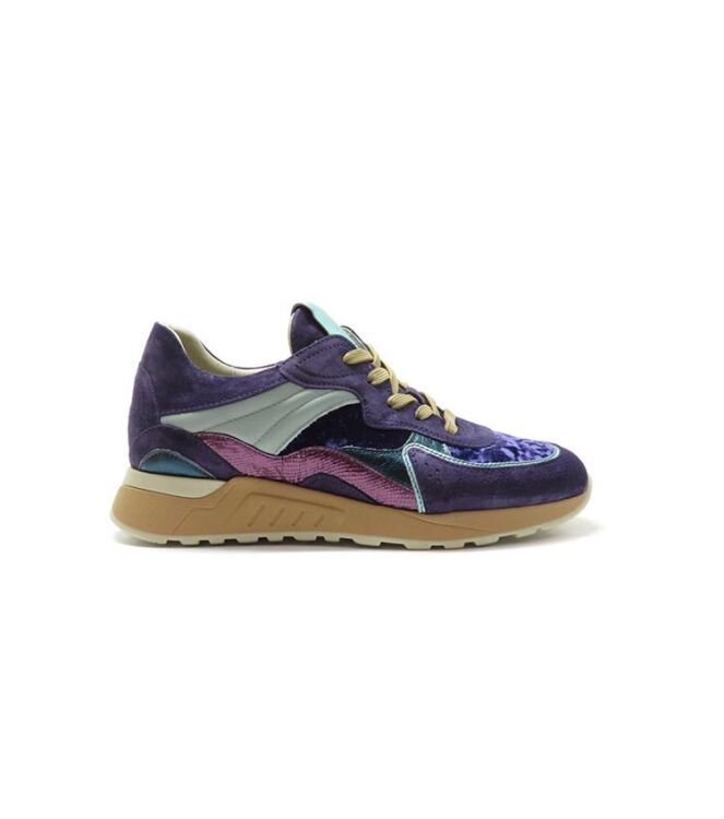 Piedi Nudi Nova violet celeste  Piedi Nudi 2507-11.22, sneakers / veterschoenen Direct leverbaar uit de webshop