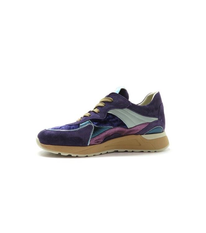 Piedi Nudi Nova violet celeste  Piedi Nudi 2507-11.22, sneakers / veterschoenen Direct leverbaar uit de webshop
