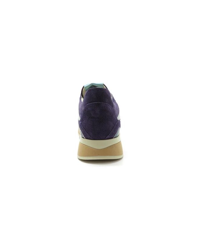 Piedi Nudi Nova violet celeste  Piedi Nudi 2507-11.22, sneakers / veterschoenen Direct leverbaar uit de webshop