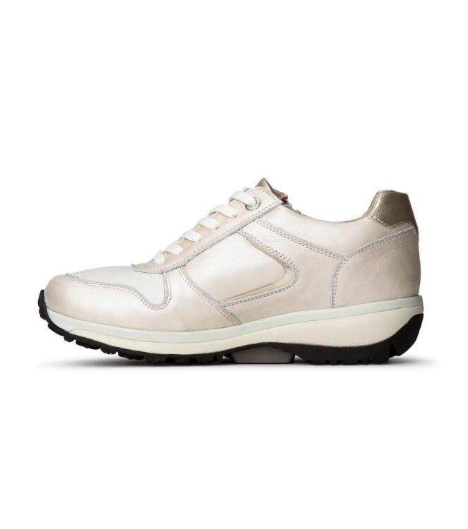 Xsensible Stretchwalker Jersey soft pearl  Xsensible Stretchwalker 30042.3.175, sneakers / veterschoenen Direct leverbaar uit de webshop