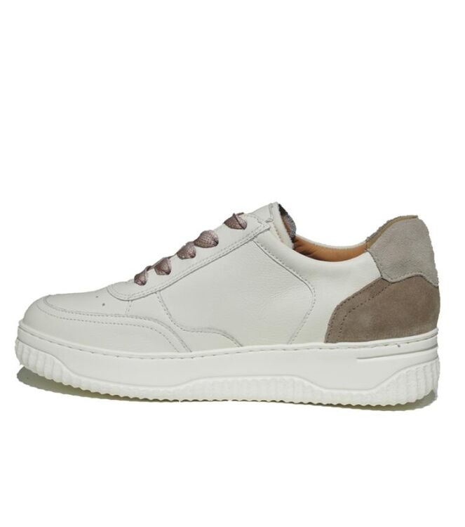 Hartjes Boogie natural/weiss  Hartjes 162.1952/13 02.26, sneakers / veterschoenen Direct leverbaar uit de webshop