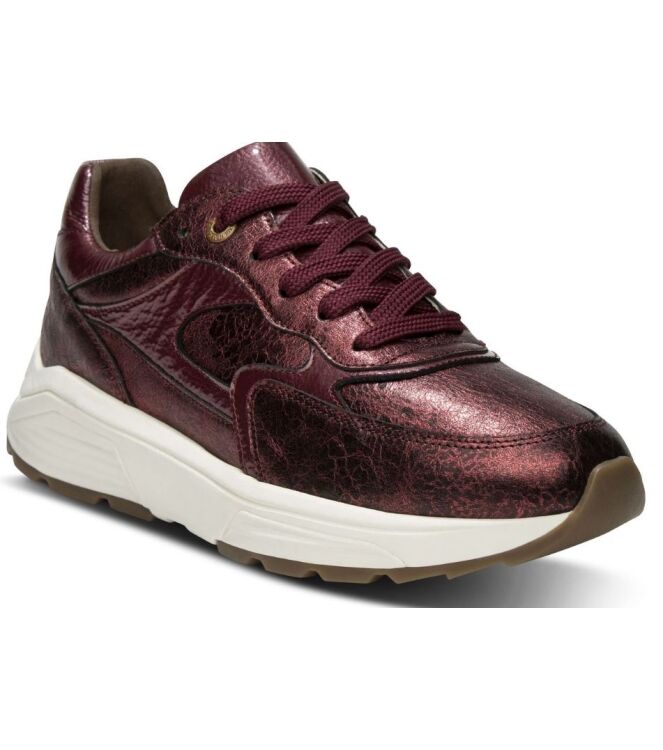 Xsensible Stretchwalker Ponte Vecchio bordeaux Xsensible Stretchwalker 33002.4.730, sneakers / veterschoenen Direct leverbaar uit de webshop