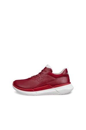 ECCO Biom 2.2 brick  ECCO Biom 2.2 brick