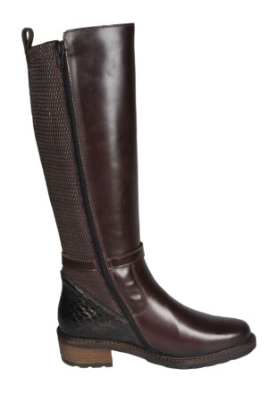 Solidus Kinga crocco  Solidus Kinga crocco