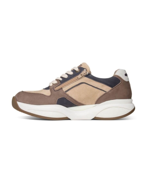 SWX 29 dark taupe combi