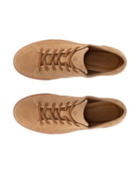 Soft 10 M camel