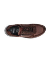 Ken Camoscia moro multi