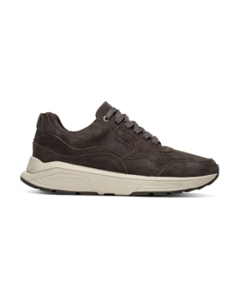 Xsensible Stretchwalker Golden Gate Men carbon