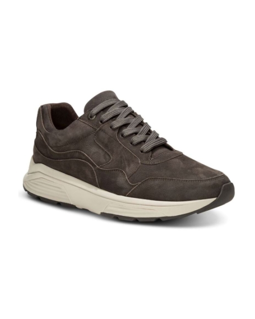 Golden Gate Men carbon