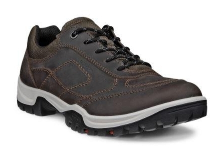 Xpedition III M dark clay