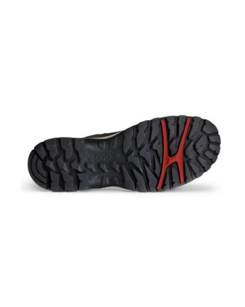 Xpedition III M dark clay