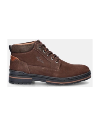 Australian Middelburg brown