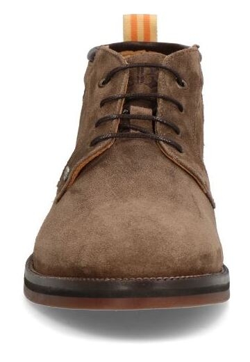 Douglas taupe