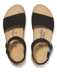 Glenda black