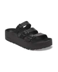 Florida Papillio black