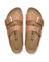 Arizona pecan