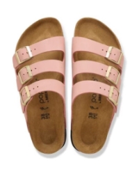 Papillio Florida pink clay