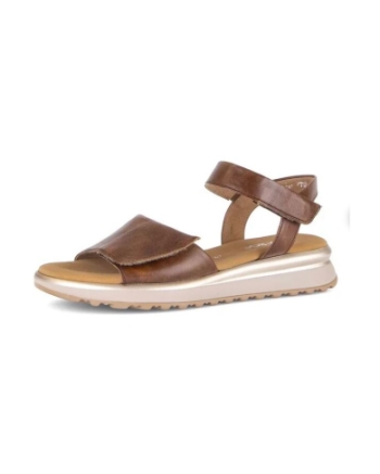 Gabor camel