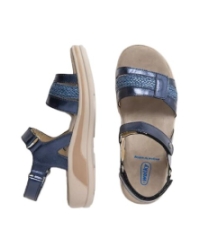 Fantom Elite blue