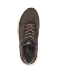 brown/mocca