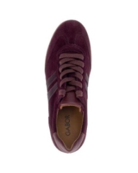 mulberry