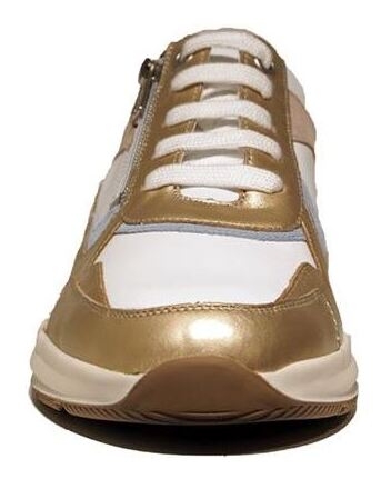 Kitty gold multi