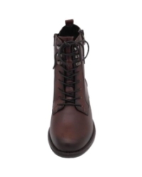 chestnut