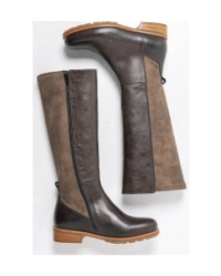 Hampton brown