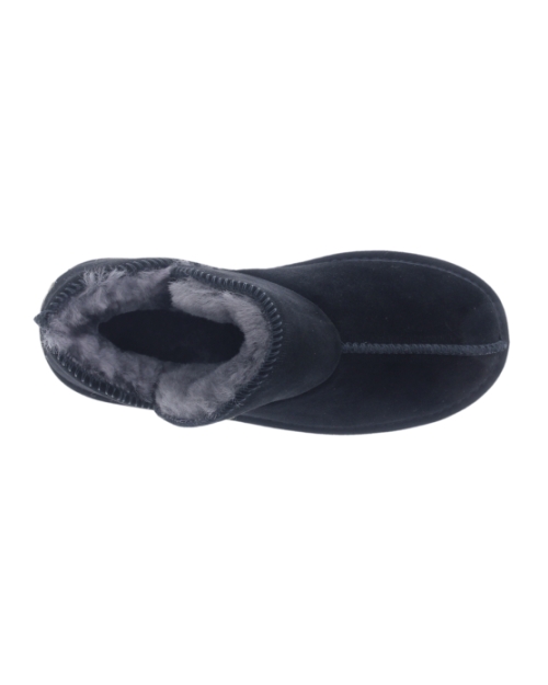 Willow black
