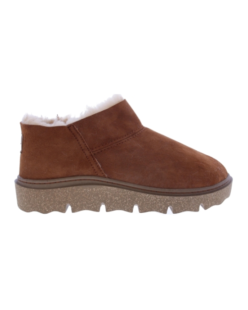 Carmaux 11 camel