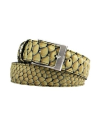 Belt Reptile Zulu reptile beige