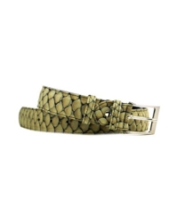 Belt Reptile Zulu reptile beige